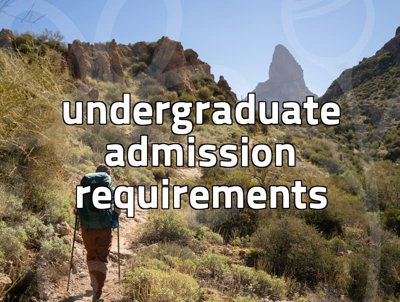 Ivy League universities admission standards and requirements