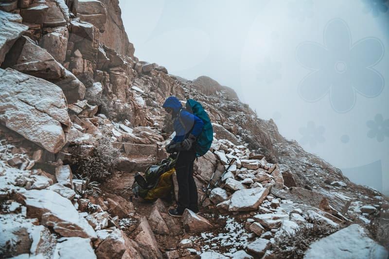 Canada immigration through study plans