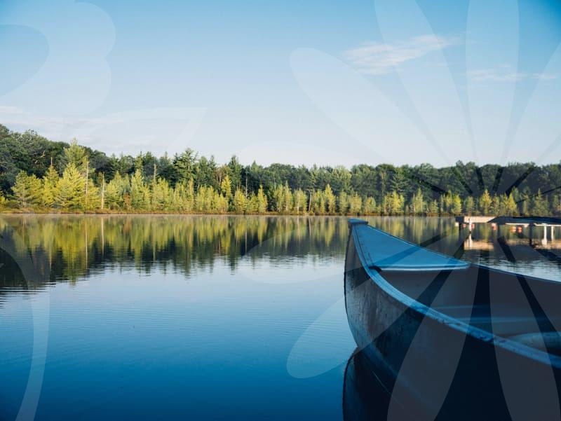 When Study Abroad Agency Consulting Helps