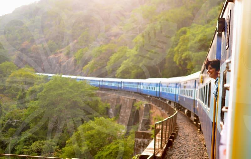 What a COEX fair reveals about study abroad