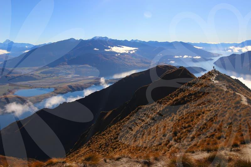 Study Abroad Consulting That Fits