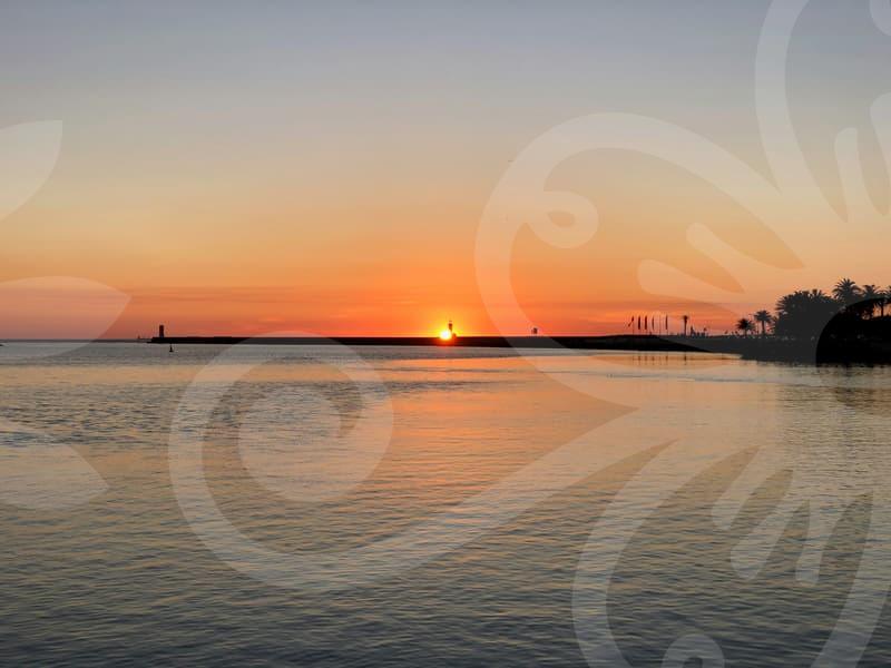 How to Choose a Busan Study Abroad Agency