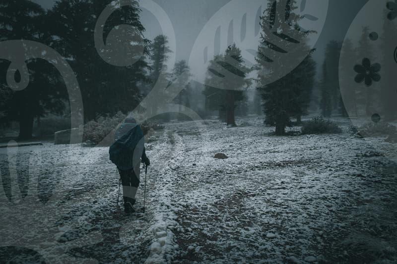 US Homestay What Families Rarely Tell