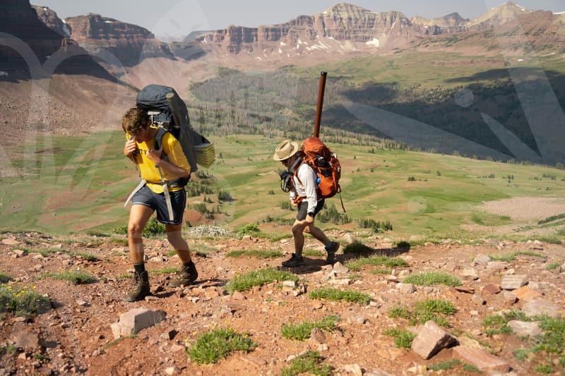 International Finance Study Choices