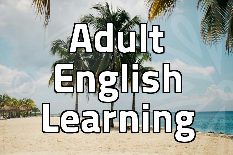 Buying those English workbook sets felt like a bigger decision than it should have been