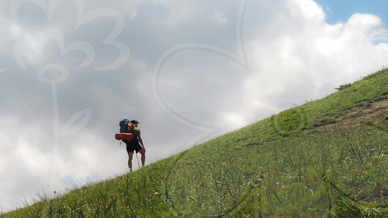 When Language Training Abroad Pays Off