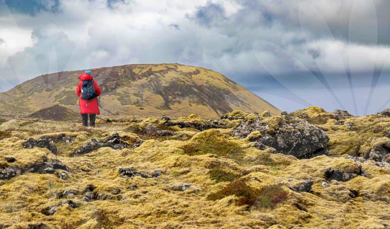 How to Choose Your OPIc Survey Well