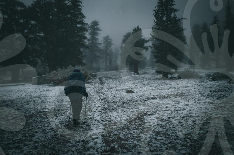 When Study Abroad Consulting Helps