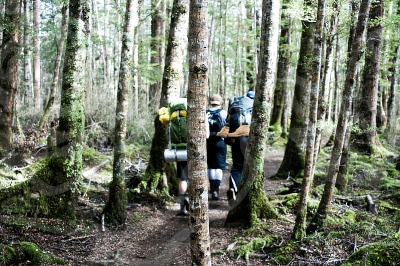 Job analysis for study abroad plans