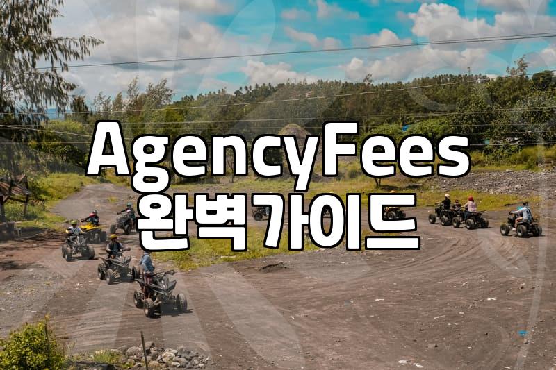 Choosing a Study Abroad Agency: What to Really Look For