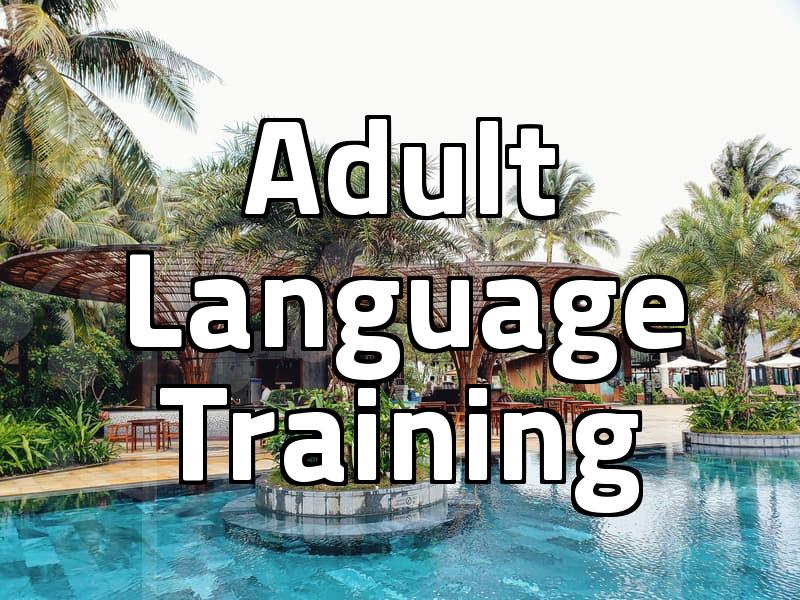 Chasing the Ivy League Dream: A Realistic Take on Adult Language Training