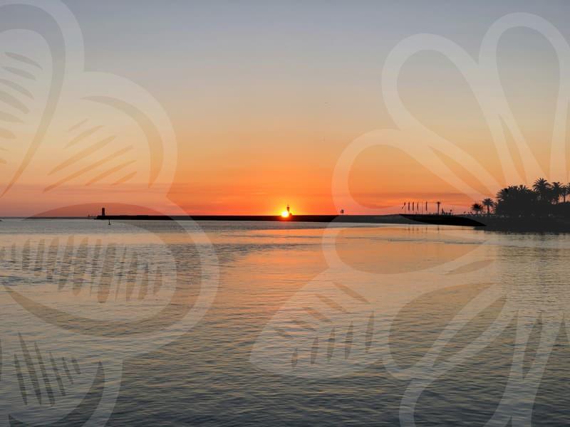 Exchange student plans that age well