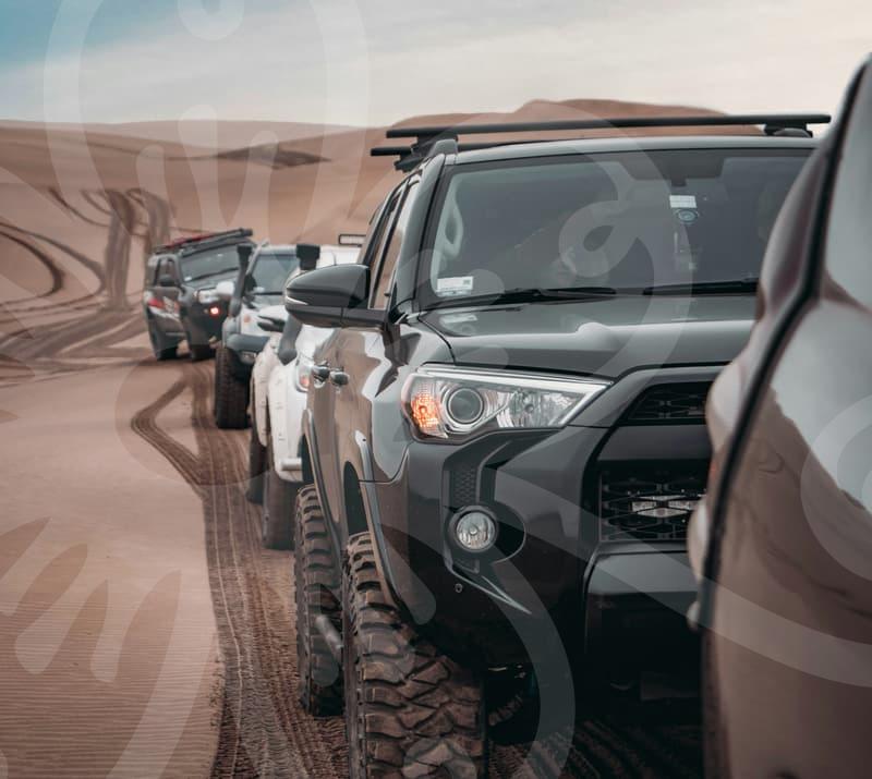 When study abroad consulting pays off