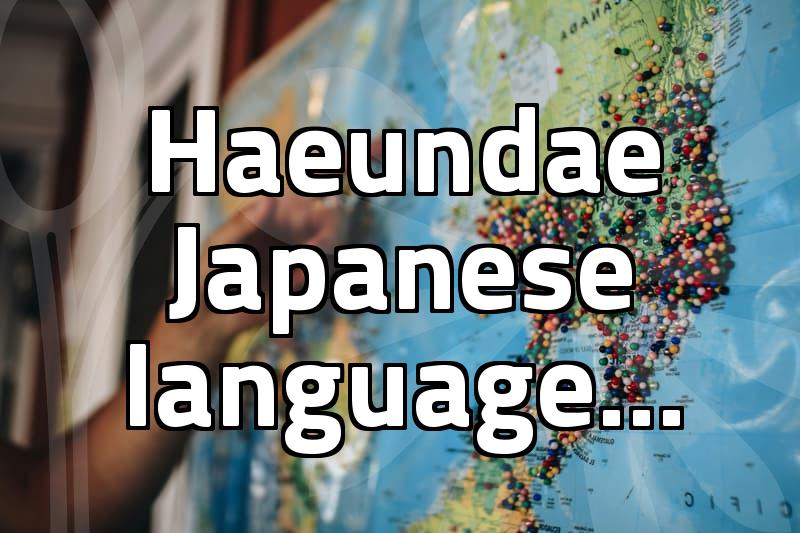 The Reality of Choosing a Japanese Language Academy in Haeundae
