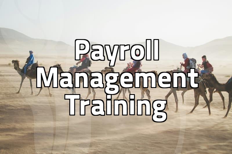 The Reality of Professional Skill Training: Why Certifications Aren’t Always the Answer