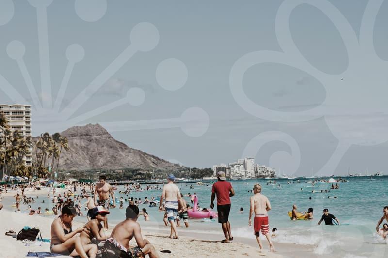 Studying in New Zealand: Your Essential Guide