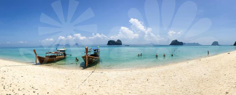 Study Abroad Agency Consulting: Your Compass for Global Success