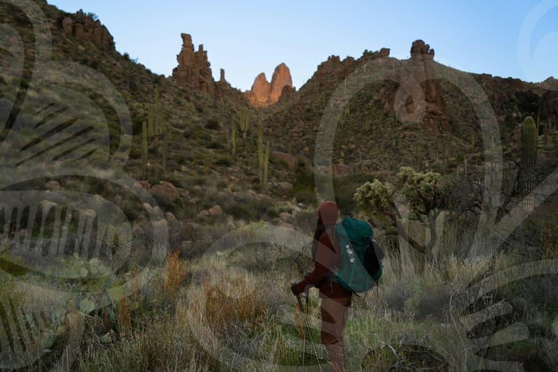 Study Abroad Consulting: Beyond the Basics