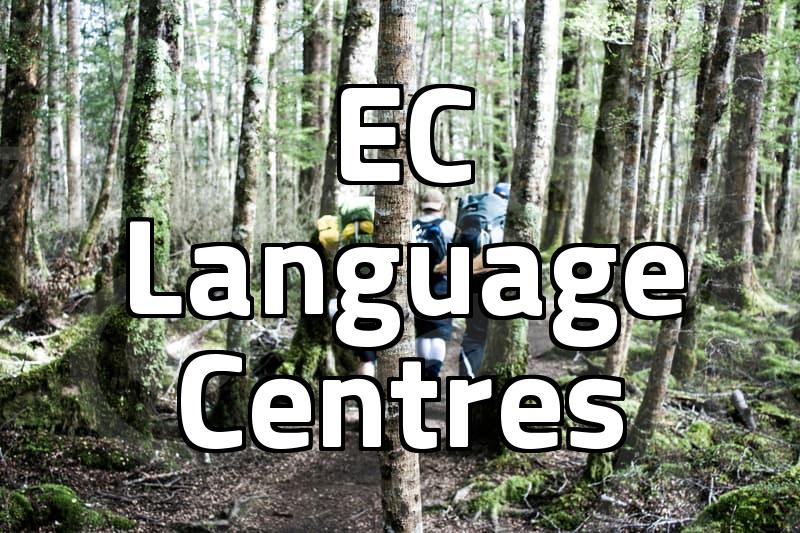Deciding on language school felt more like a chore than a dream