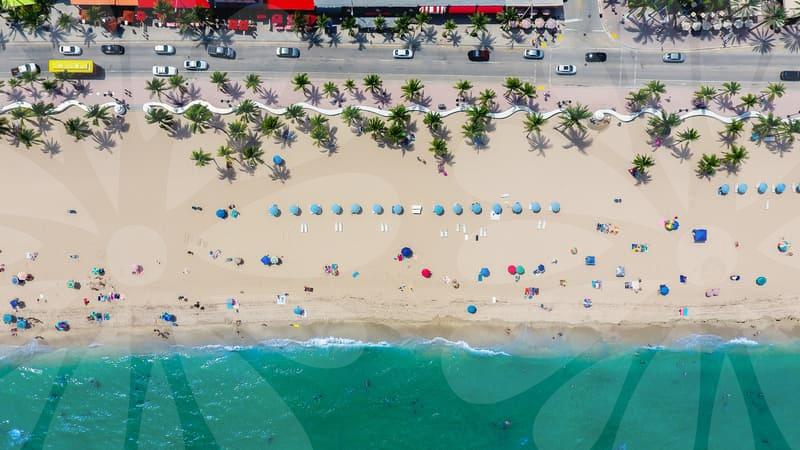 Mastering the OPIC Survey for Your Target Score