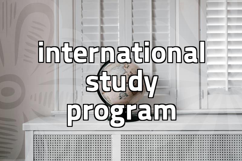 the reality of participating in a UK exchange student program