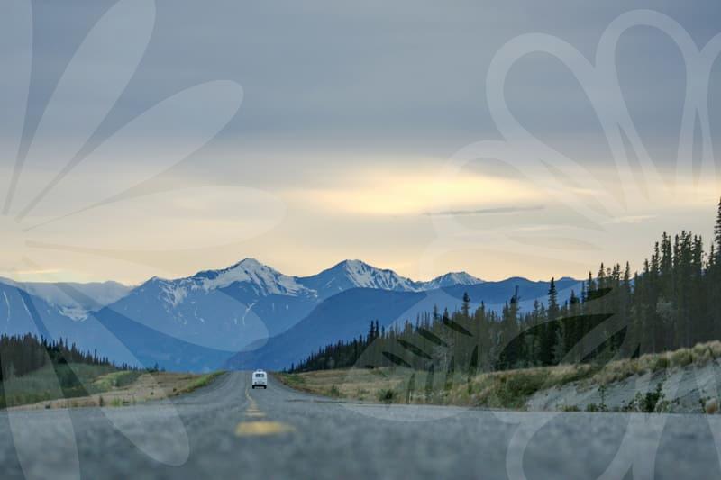 Mastering English: The Power of Movie Learning