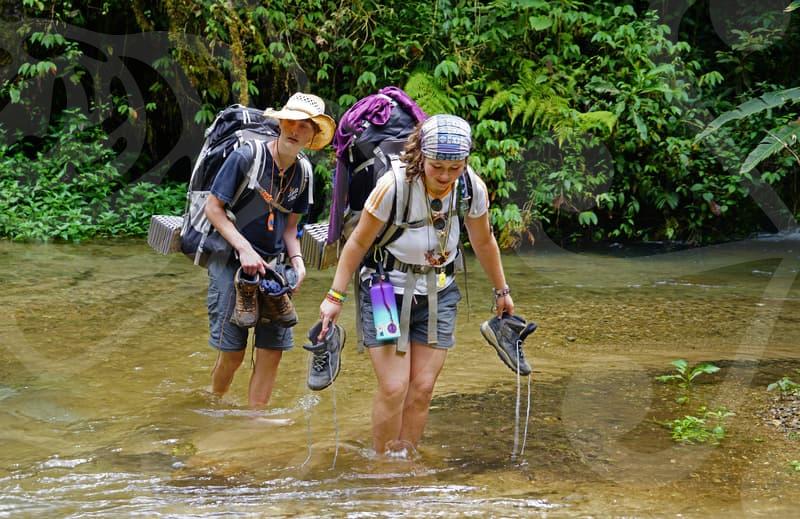 New Zealand K-12 Study Abroad: Your Path