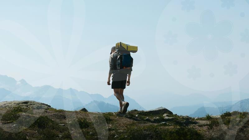 Your Guide to Effective Study Abroad Consulting