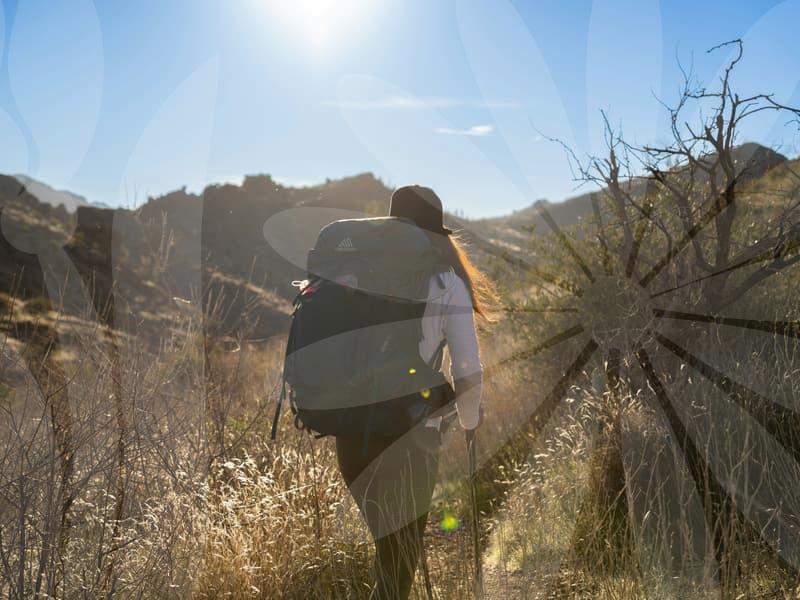 TOEFL Exam: Your Practical Preparation Plan