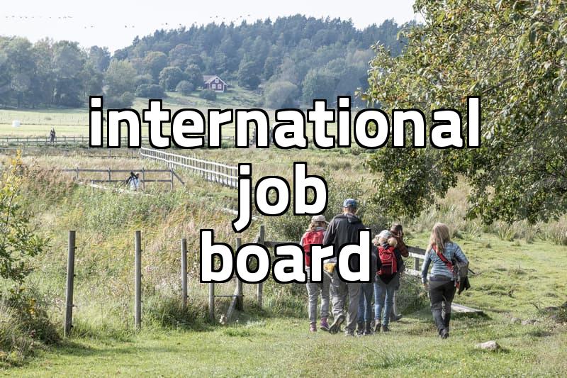 Singapore overseas employment requirements and realistic salary expectations