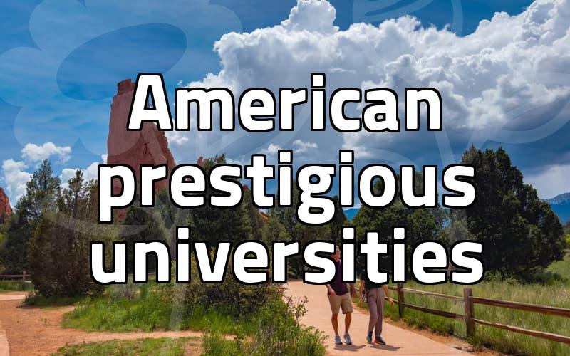 Ivy League admission requirements and success rates