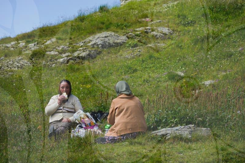 US SAT: Navigating American University Admissions