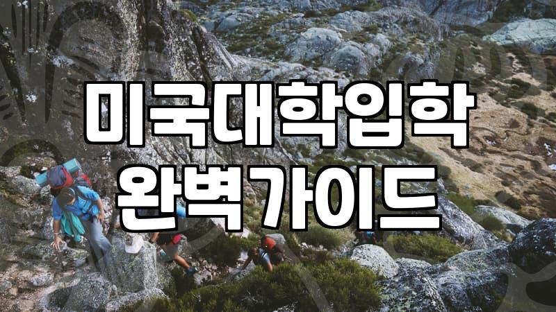 미국 주립대 입학 준비와 컨설팅 활용의 현실적인 측면들