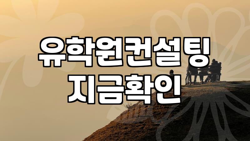 Navigating Study Abroad: Your Essential Guide to Choosing a Consultant