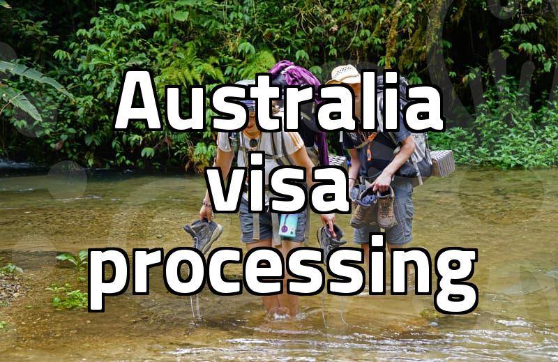Watching the Visa Status Bar Stop Moving Was the Hardest Part