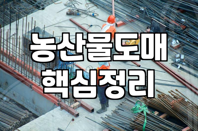 식당이나 소규모 매장을 위한 농산물 도매 사이트 활용법