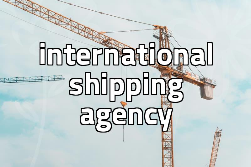Choosing a delivery agency for efficient international shipping