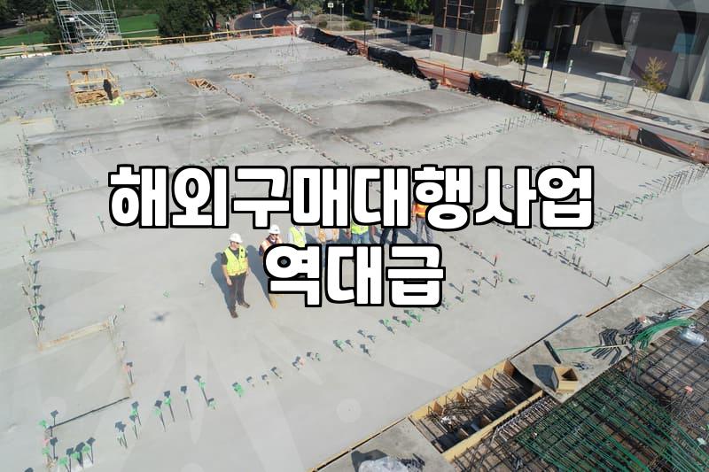 해외 구매대행과 국내 편집숍 입점의 현실적인 차이