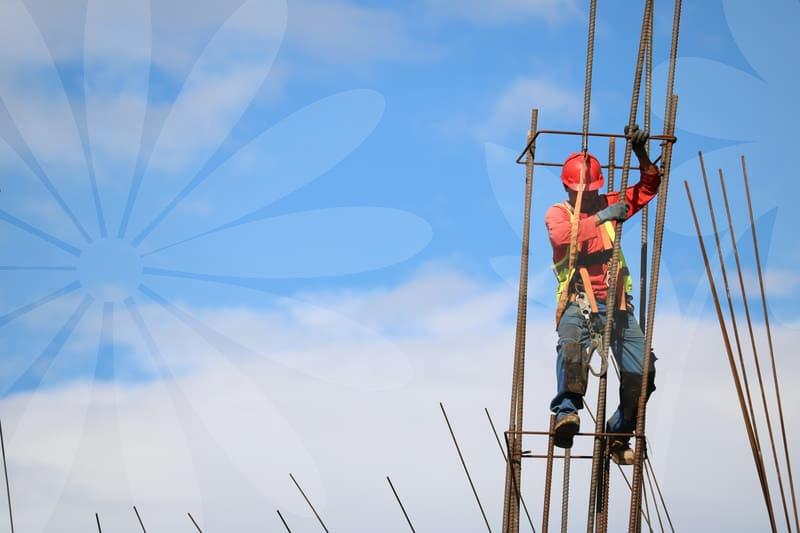 Customs Inquiries for Imports