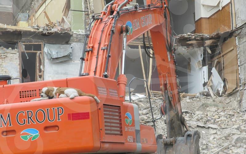 China Parcel and Direct Purchase