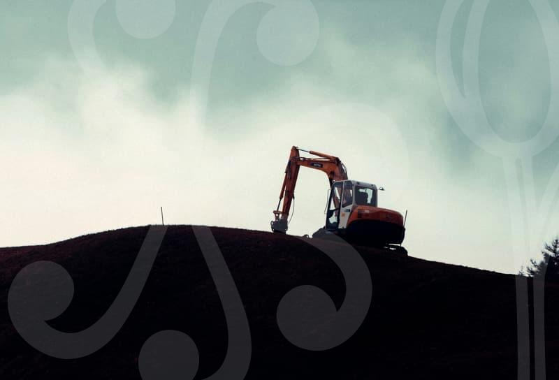 Logistics Optimization for Direct Buys