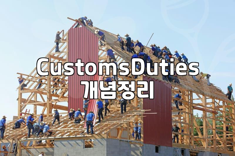 Navigating Customs Duties for Your Direct Purchases