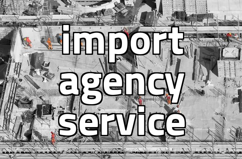 the real cost and logistics of overseas purchase agency